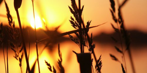 sunset-1555084.jpg